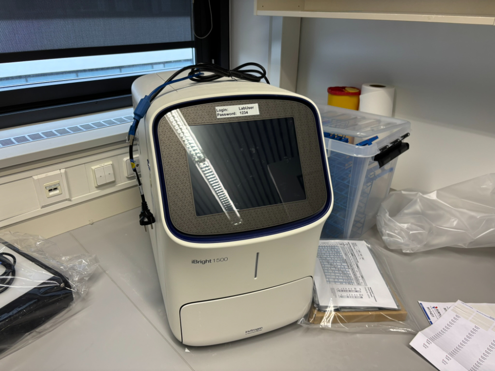 Image of Invitrogen IBright 1500 Imaging System